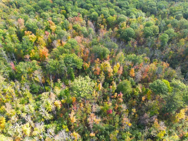 $144,000 | 13450 Swedish Highway, Danbury, WI 54830