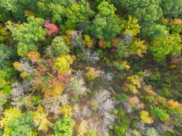 $144,000 | 13450 Swedish Highway, Danbury, WI 54830