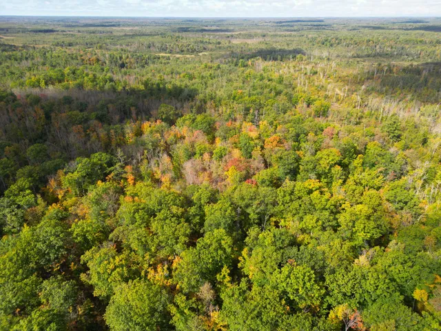 $144,000 | 13450 Swedish Highway, Danbury, WI 54830