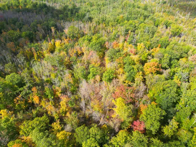 $144,000 | 13450 Swedish Highway, Danbury, WI 54830