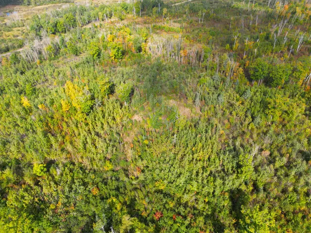 $144,000 | 13450 Swedish Highway, Danbury, WI 54830