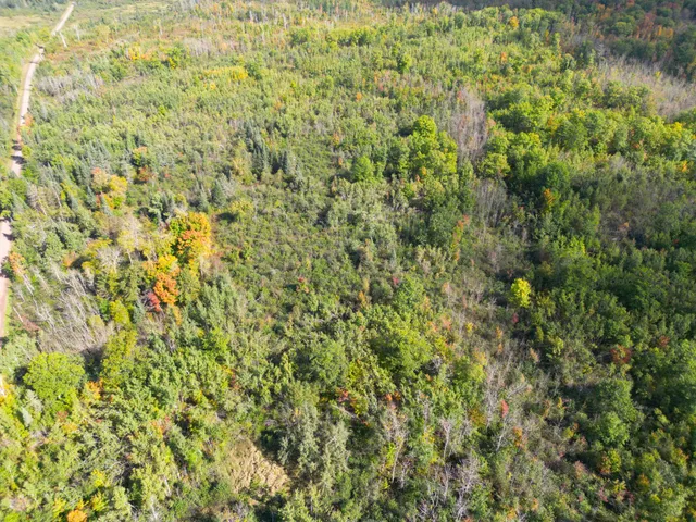 $144,000 | 13450 Swedish Highway, Danbury, WI 54830