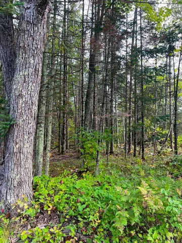 $144,000 | 13450 Swedish Highway, Danbury, WI 54830