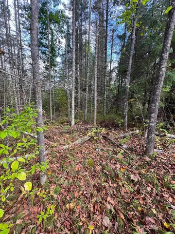 $144,000 | 13450 Swedish Highway, Danbury, WI 54830