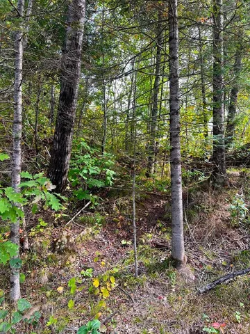 $144,000 | 13450 Swedish Highway, Danbury, WI 54830