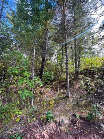 $144,000 | 13450 Swedish Highway, Danbury, WI 54830