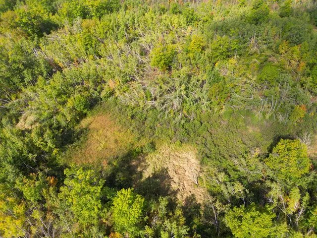 $144,000 | 13450 Swedish Highway, Danbury, WI 54830