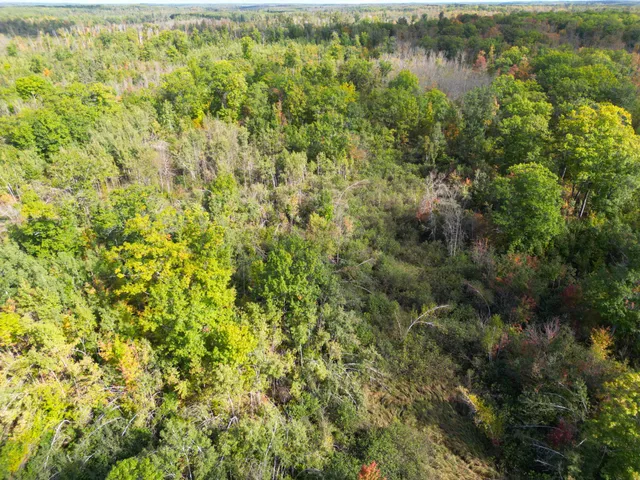 $144,000 | 13450 Swedish Highway, Danbury, WI 54830