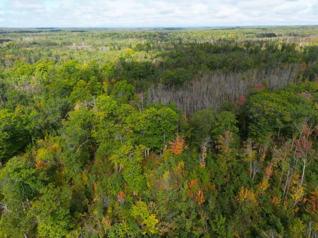 $144,000 | 13450 Swedish Highway, Danbury, WI 54830