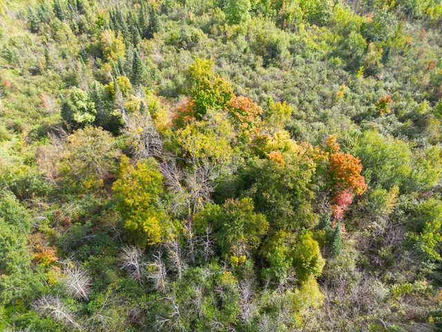 $144,000 | 13450 Swedish Highway, Danbury, WI 54830