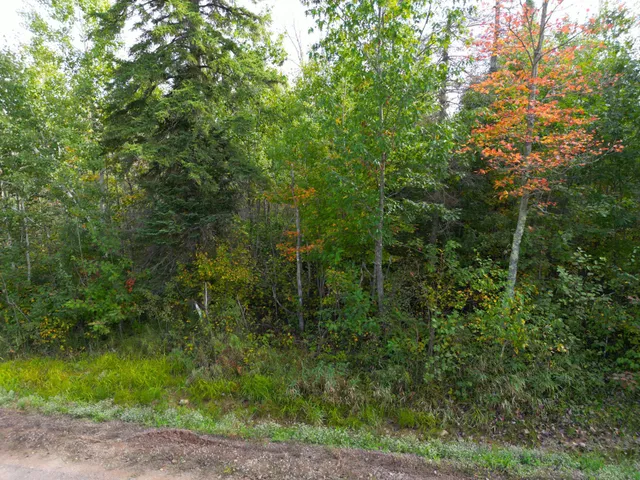 $144,000 | 13450 Swedish Highway, Danbury, WI 54830