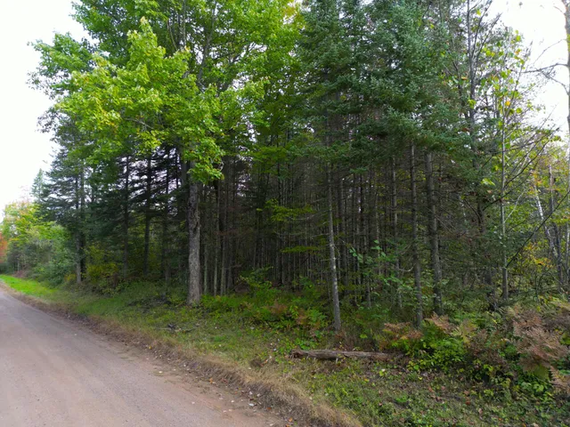 $144,000 | 13450 Swedish Highway, Danbury, WI 54830