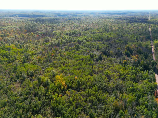 $144,000 | 13450 Swedish Highway, Danbury, WI 54830