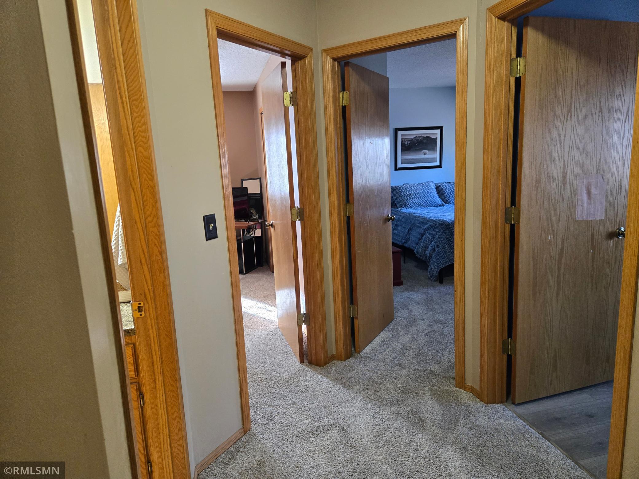 1229 Choke Cherry Road Lino Lakes, MN 55038 - Photo 14 of 39