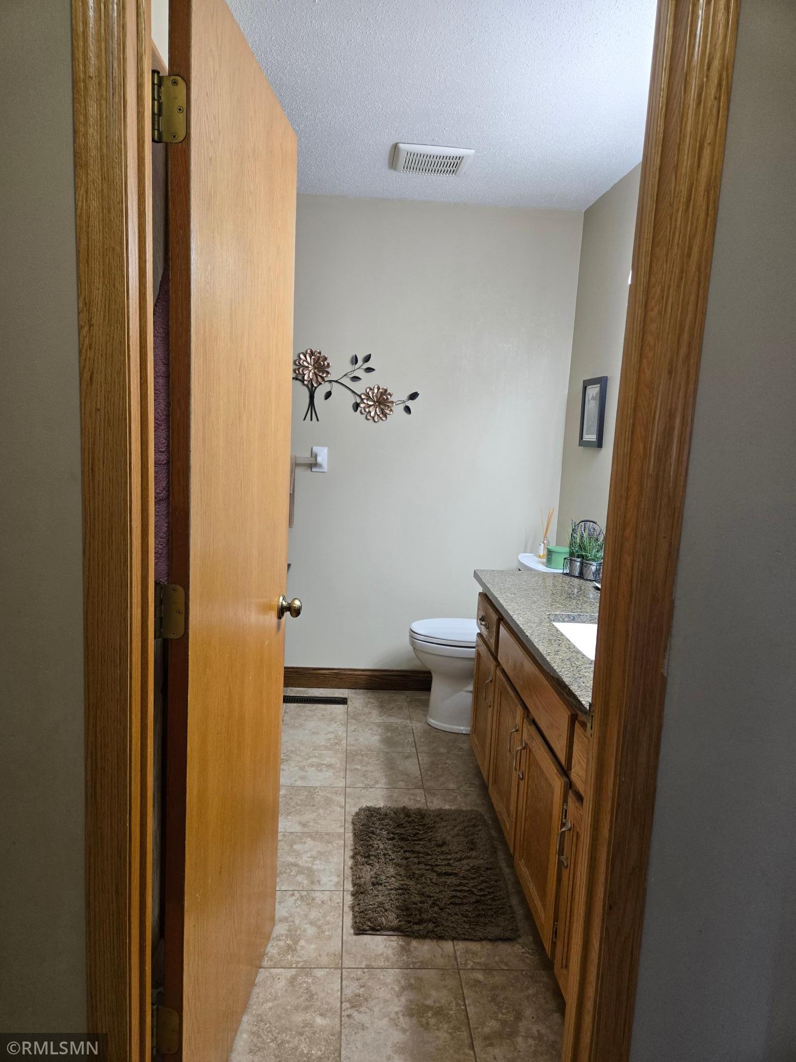 1229 Choke Cherry Road Lino Lakes, MN 55038 - Photo 16 of 40