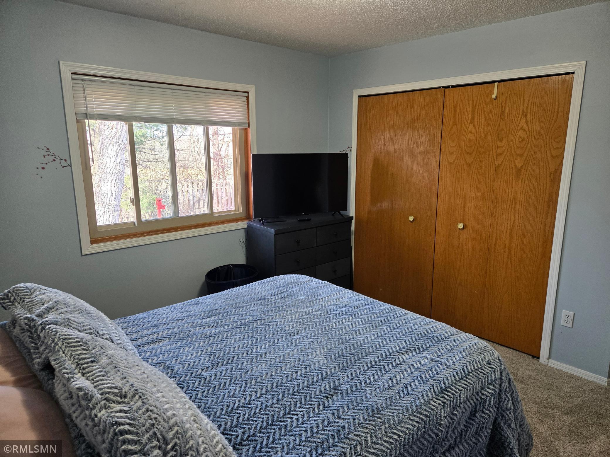 1229 Choke Cherry Road Lino Lakes, MN 55038 - Photo 21 of 39