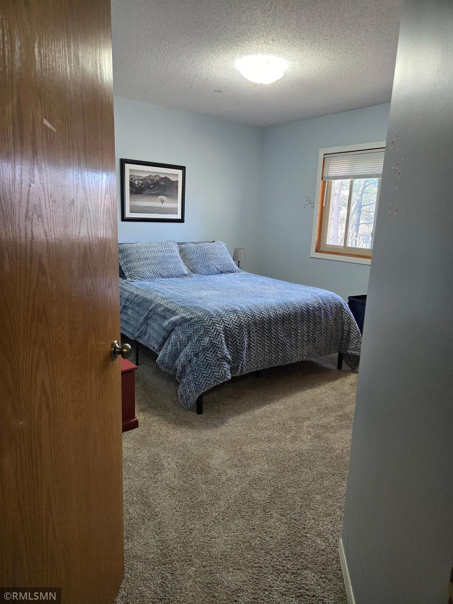 1229 Choke Cherry Road Lino Lakes, MN 55038 - Photo 21 of 40