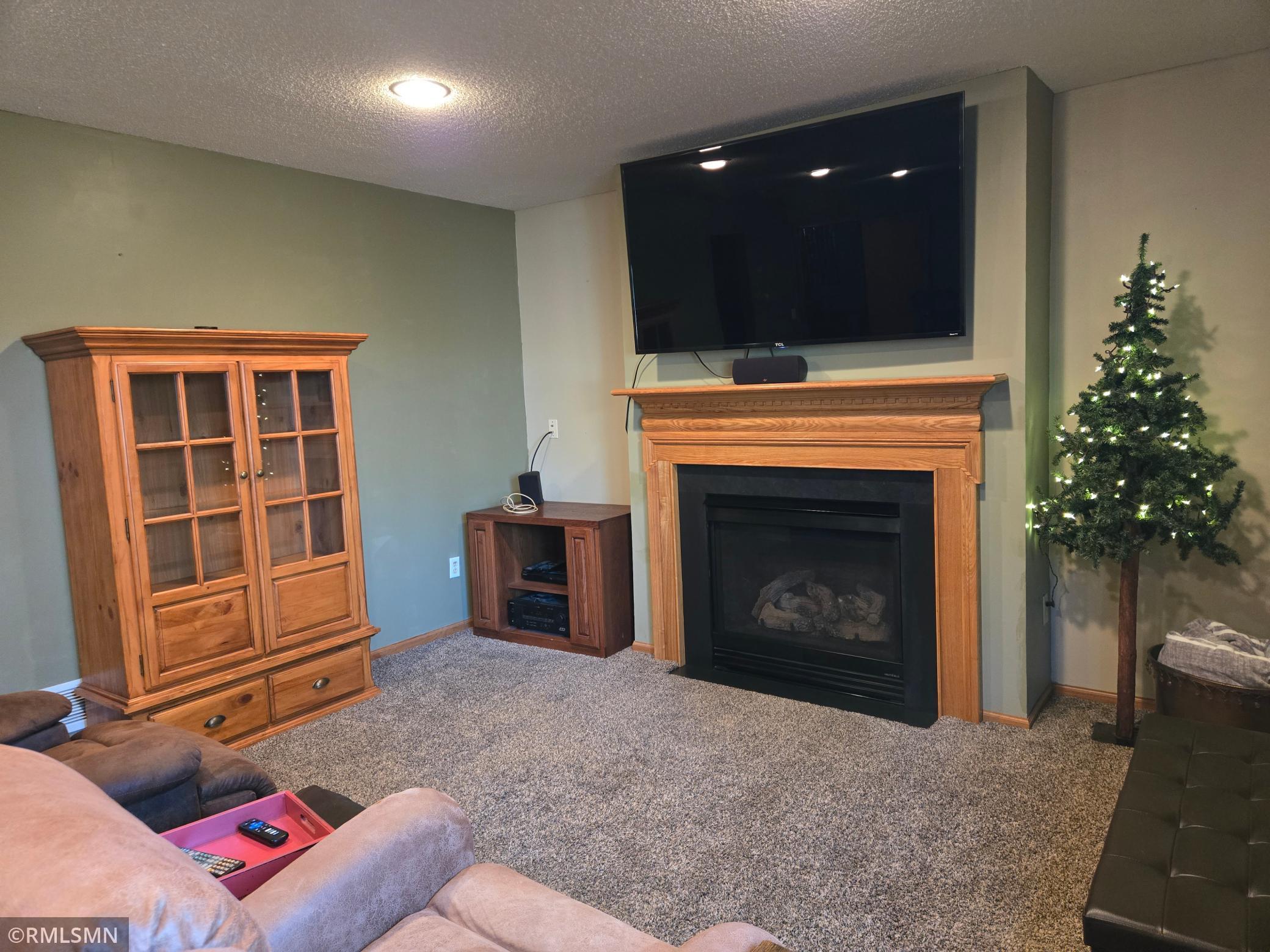 1229 Choke Cherry Road Lino Lakes, MN 55038 - Photo 25 of 39