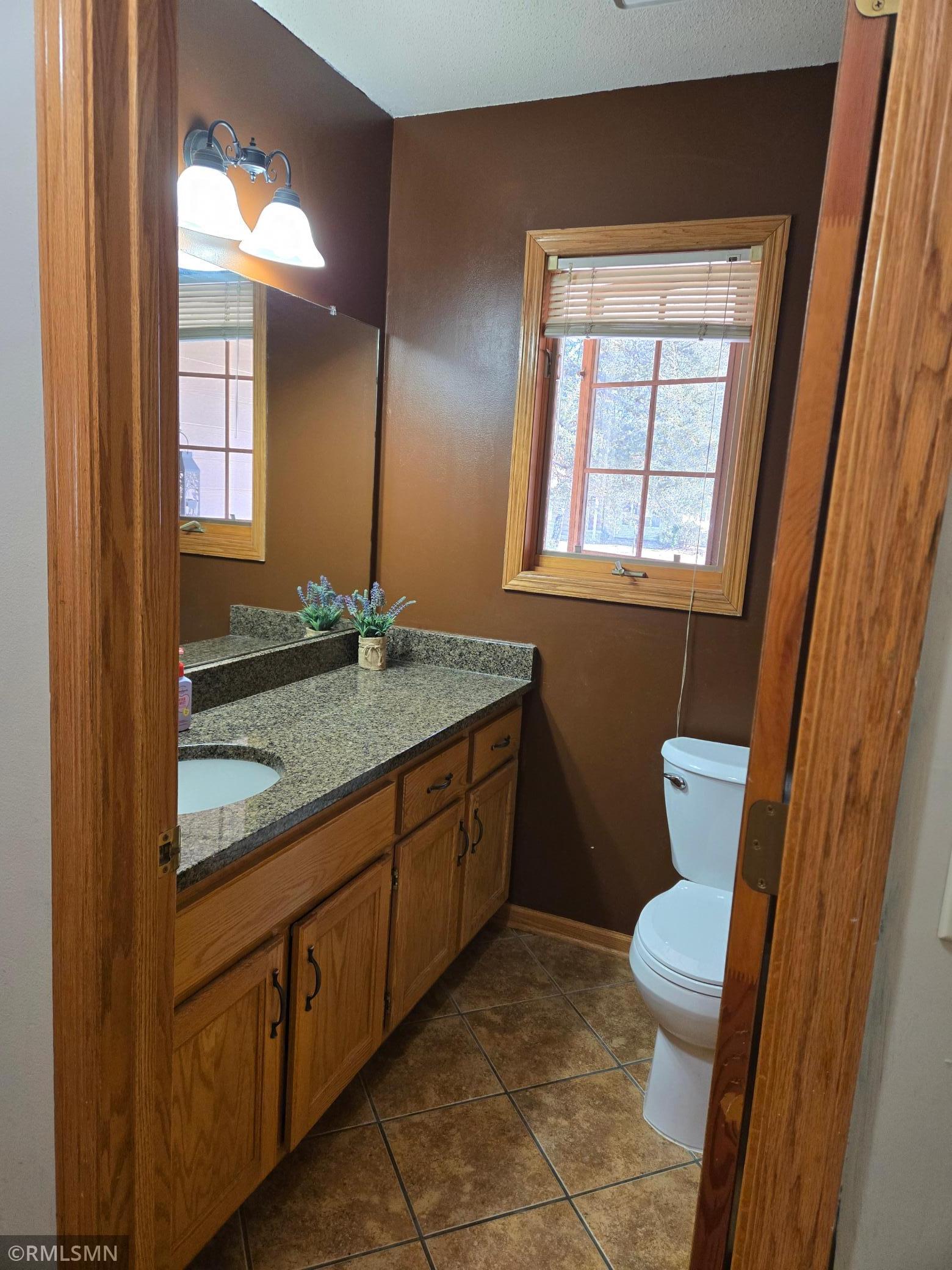 1229 Choke Cherry Road Lino Lakes, MN 55038 - Photo 4 of 40