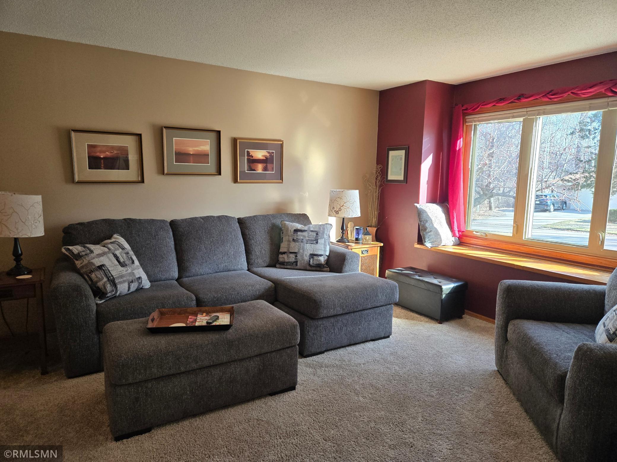 1229 Choke Cherry Road Lino Lakes, MN 55038 - Photo 5 of 40