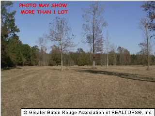 3 George Watts Road Livingston, LA 70754 - Photo 1 of 1 Gallery Image 1