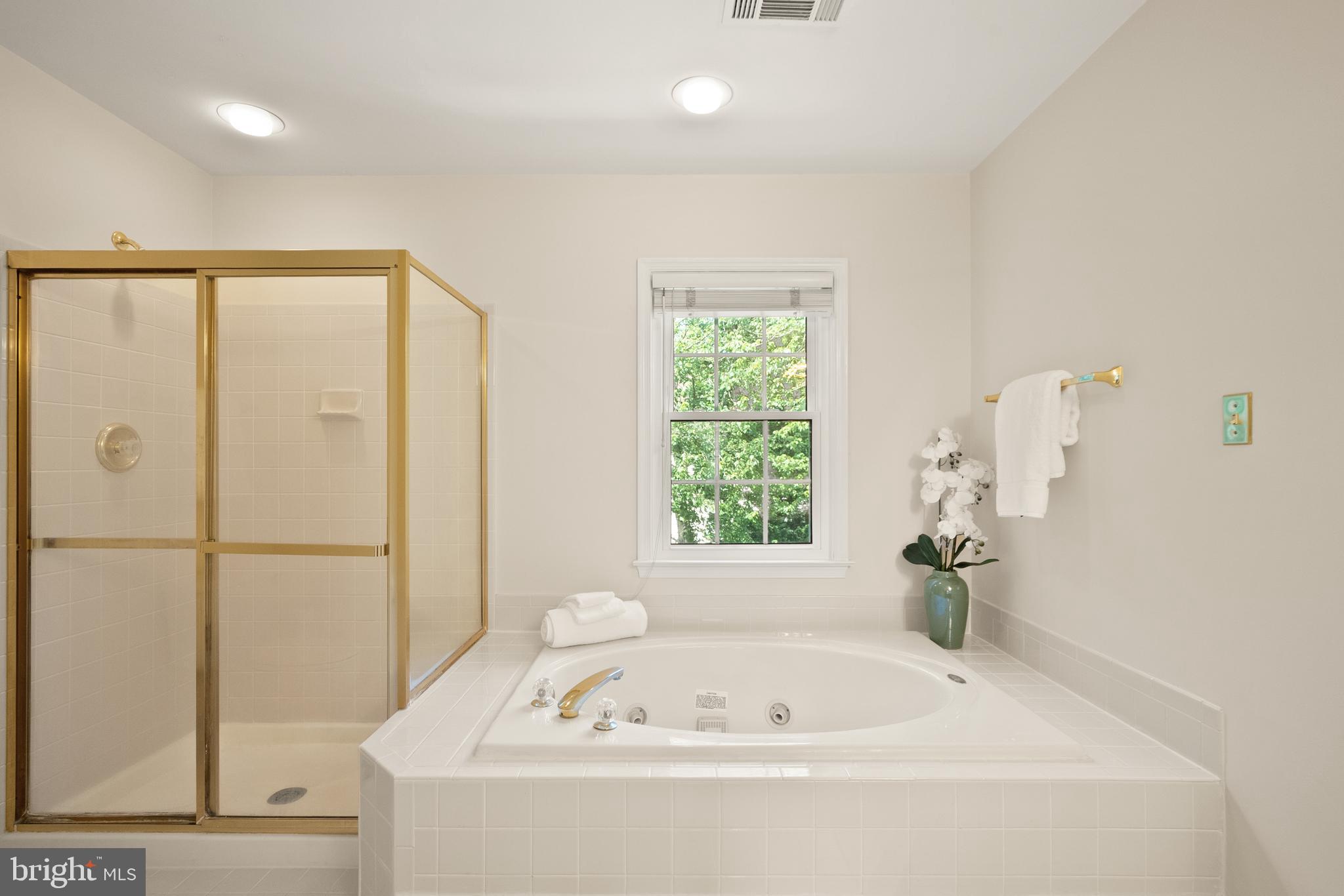 2614 Iron Forge Road Oak Hill, VA 20171 - Photo 31 of 48 Soaking tub
