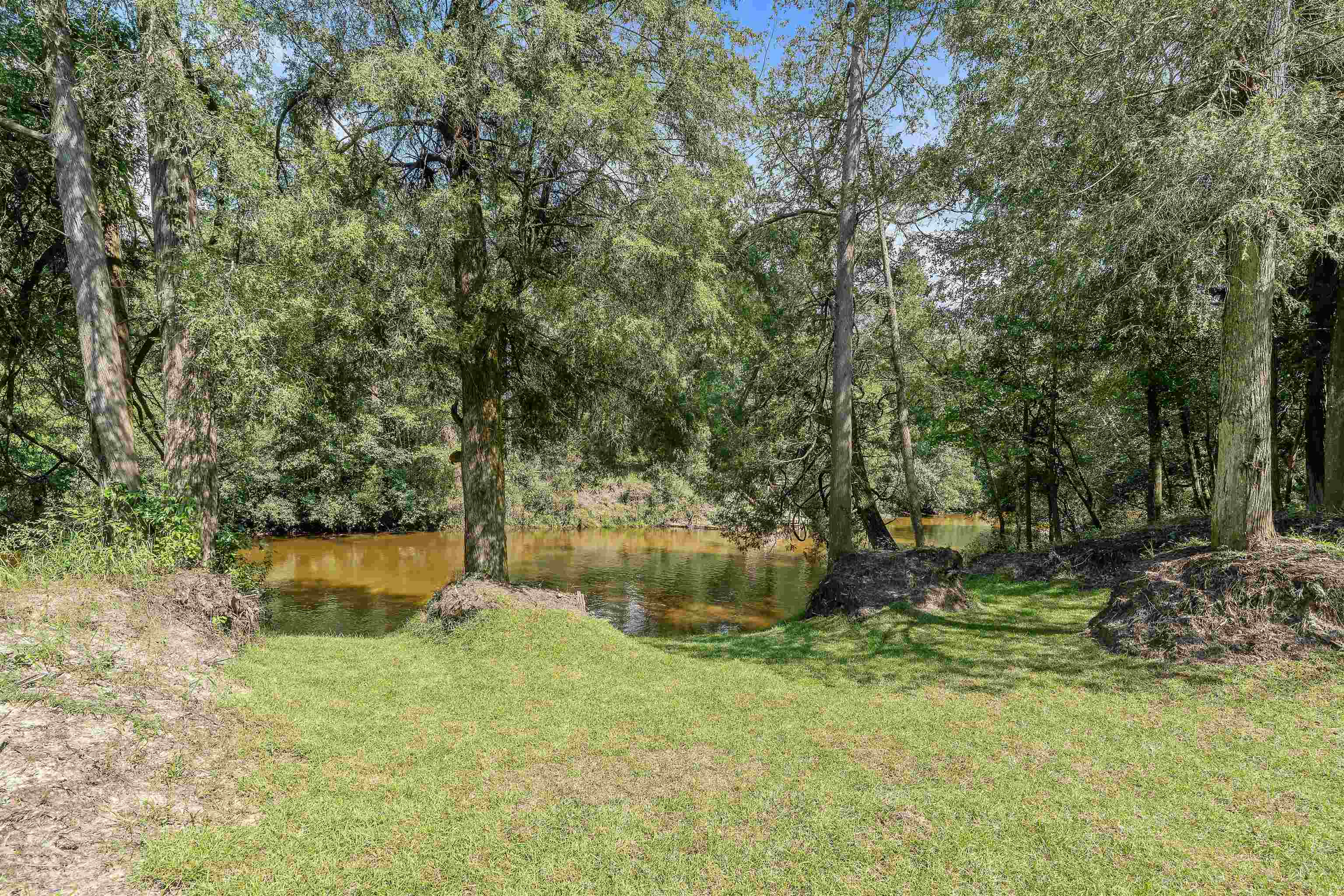 25591 Waterworld Road Robertsdale, AL 36567 - Photo 14 of 33 Yard
