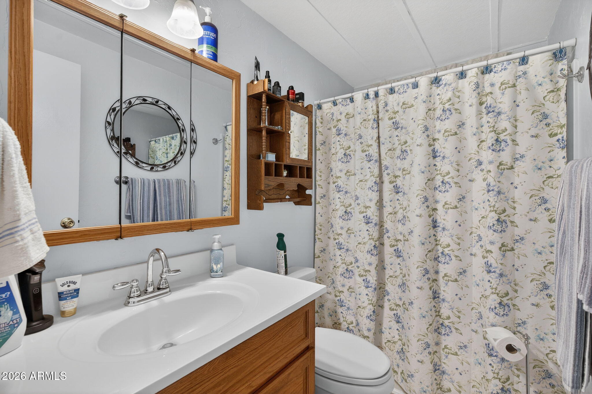 2100 North Trekell Road, Unit 196 Casa Grande, AZ 85122 - Photo 16 of 40 a bathroom with a sink toilet a mirror and shower curtain