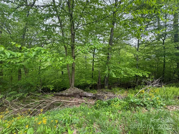 a view of backyard with green space