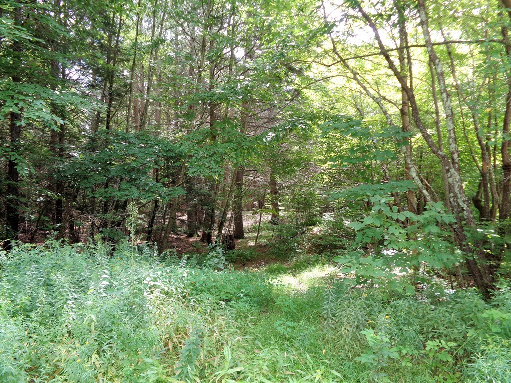 40 Glendale Road Sturbridge, MA 01518 - Photo 15 of 16