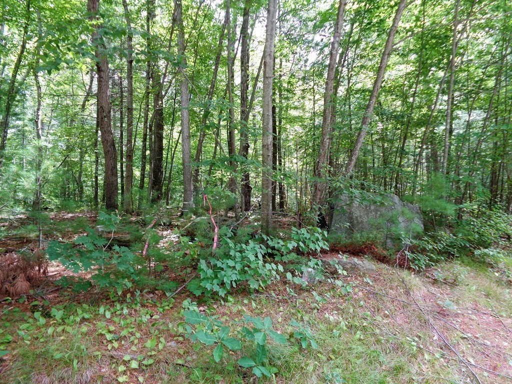 40 Glendale Road Sturbridge, MA 01518 - Photo 9 of 16