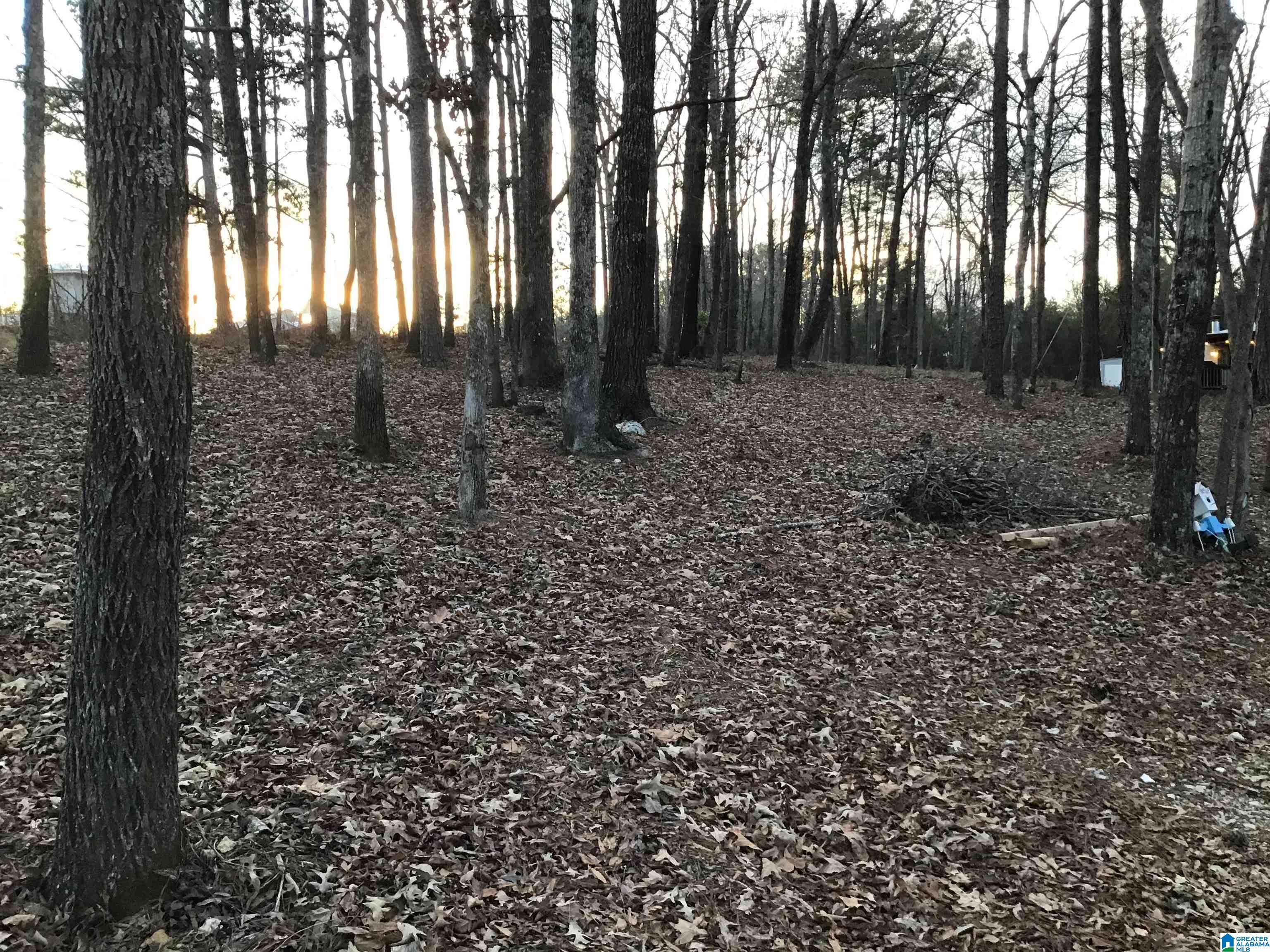 101 Wilson Glenn Road Wilsonville, AL 35186 - Photo 3 of 16