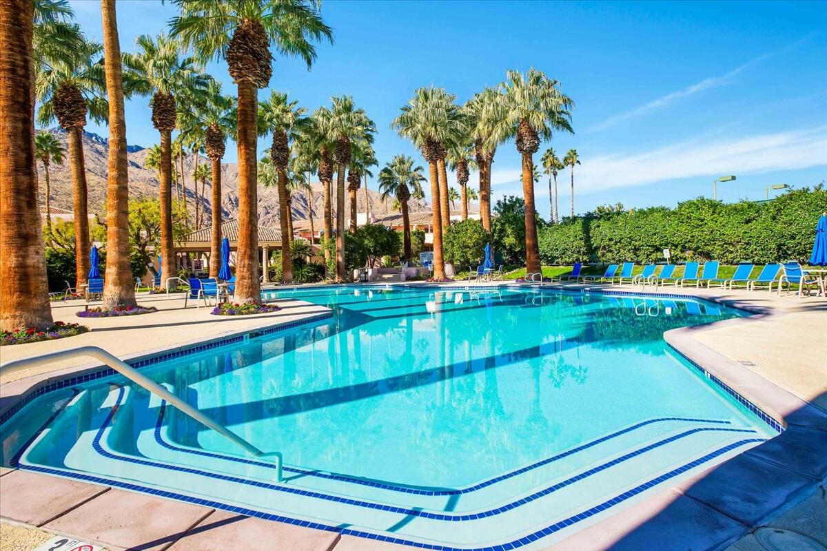 500 East Amado Road, Unit 416 Palm Springs, CA 92262 - Photo 44 of 48 a view of a swimming pool with a lawn chairs under palm trees
