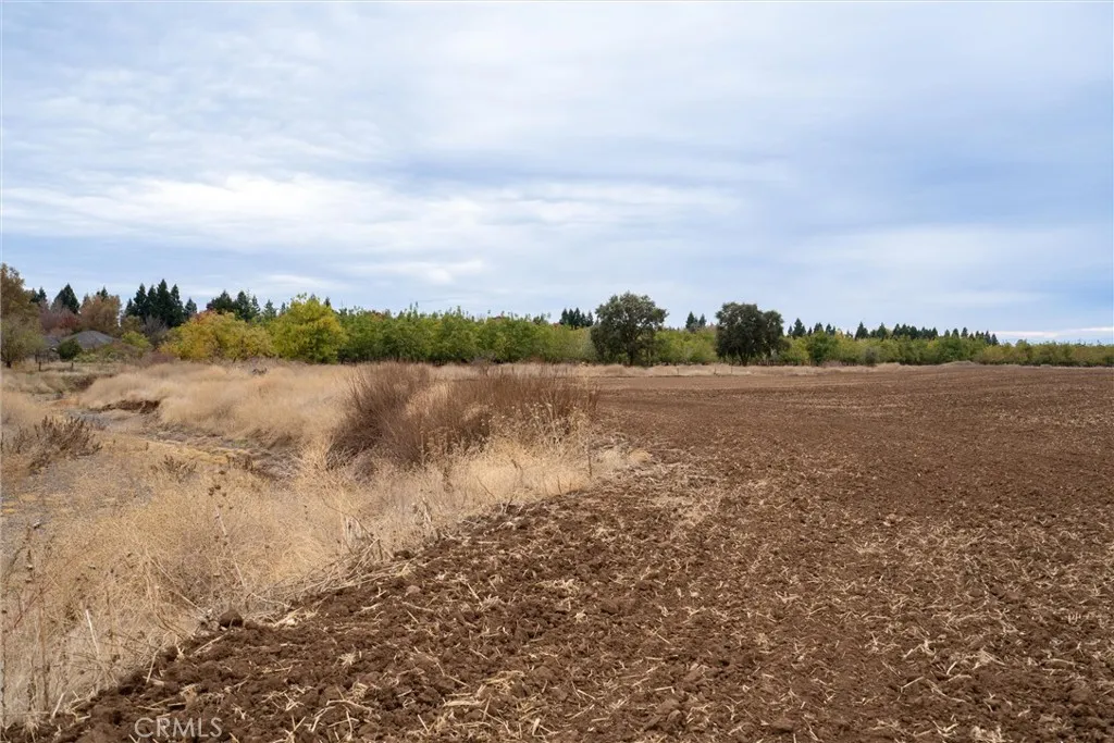 0 Garner Lane Chico, CA 95973 - Photo 11 of 17 a view of lake