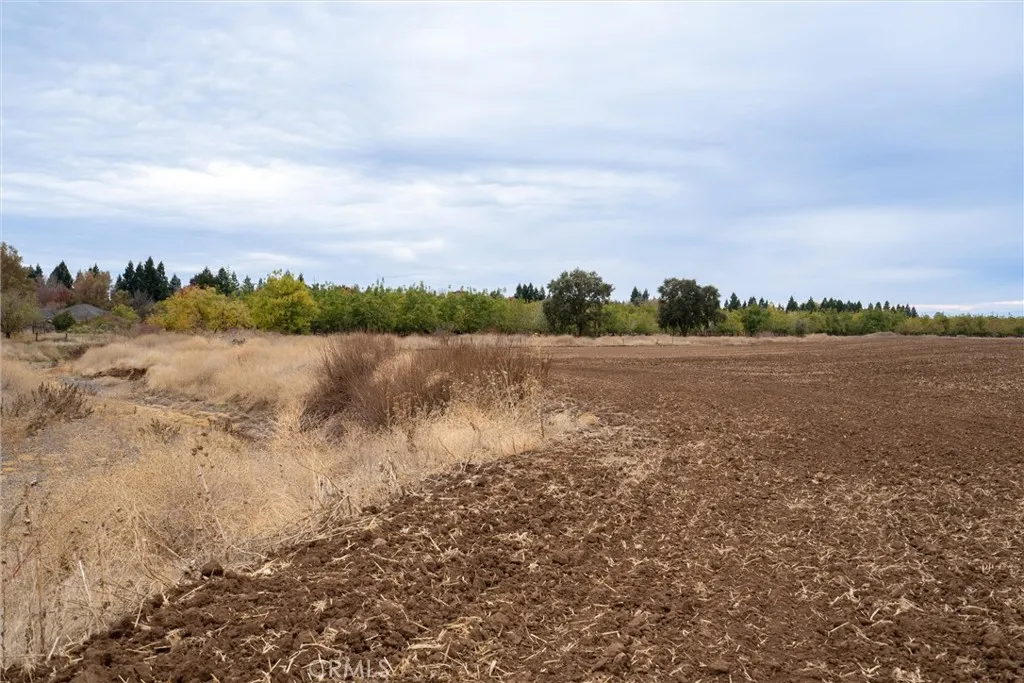 0 Garner Lane Chico, CA 95973 - Photo 11 of 17 a view of lake