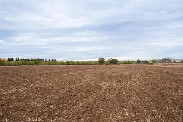 a view of an ocean and beach