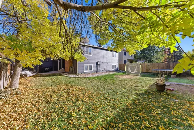 a view of a backyard with a tree