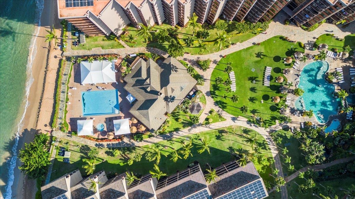 3445 Lower Honoapiilani Road, Unit 361 Lahaina, HI 96761 - Photo 42 of 43 a picture of flowers