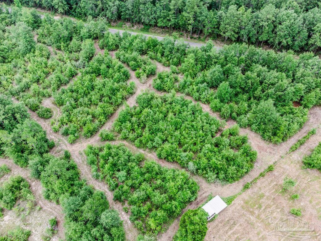 Lot 4 Annie Penton Road Jay, FL 32565 - Photo 1 of 3 Gallery Image 1