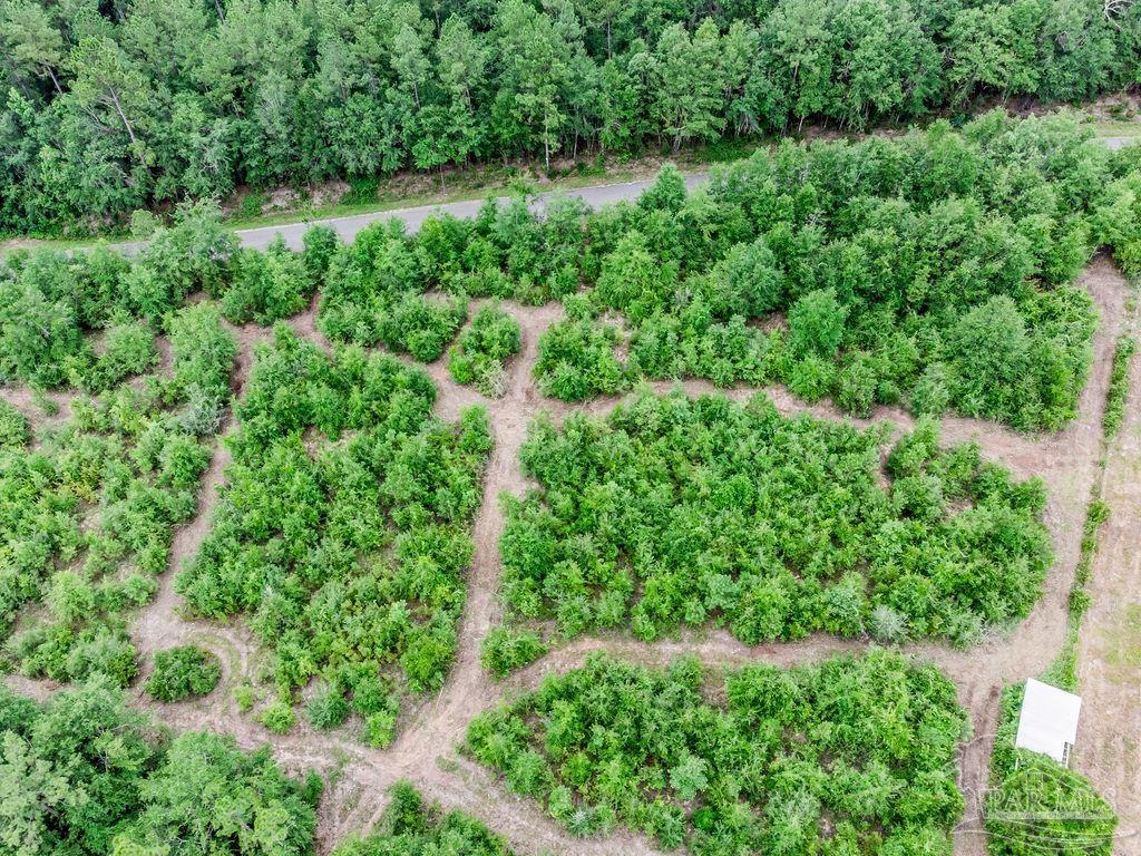 Lot 4 Annie Penton Road Jay, FL 32565 - Photo 2 of 3 Gallery Image 2