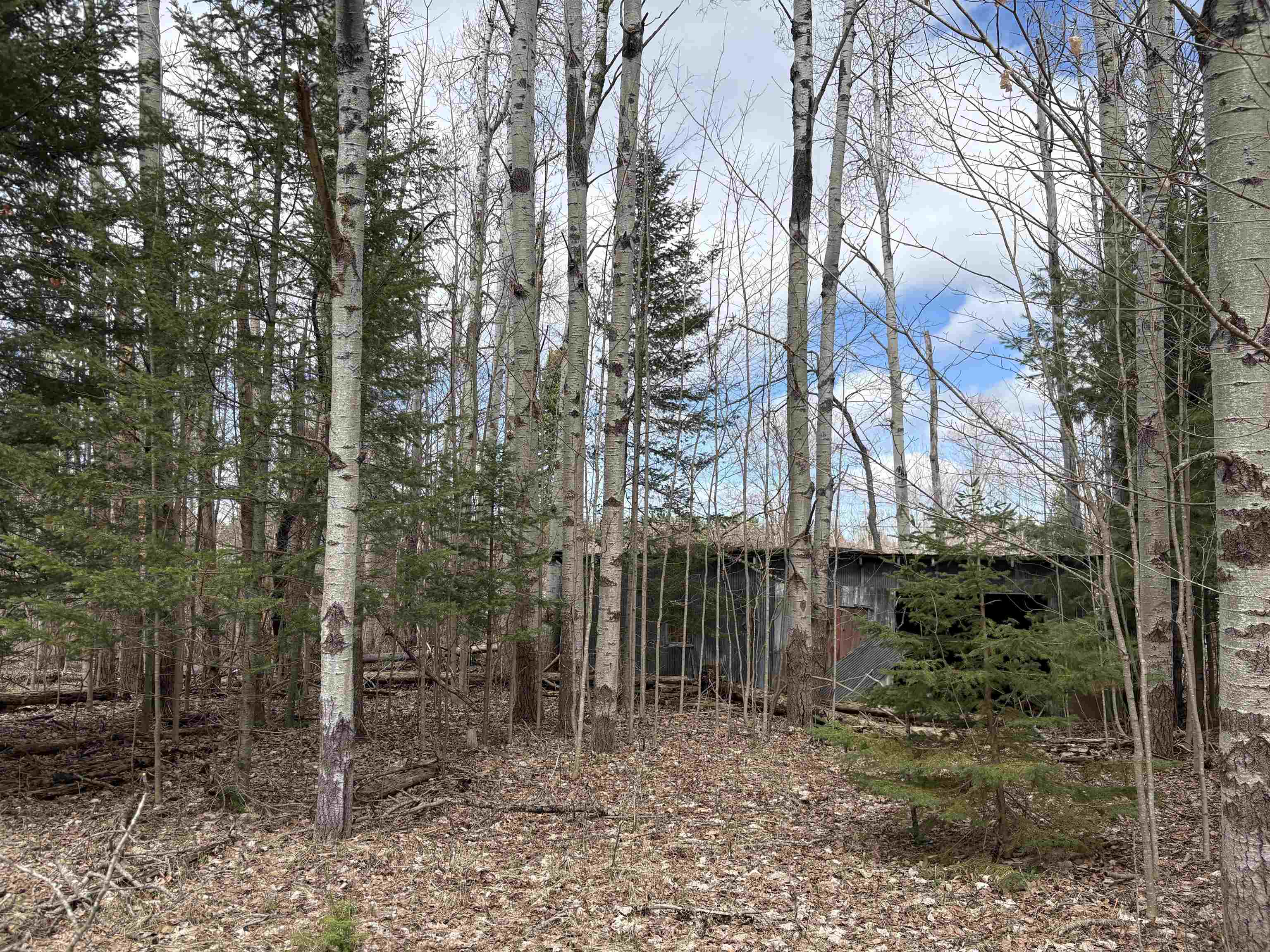2450 North Marshall Road Beulah, MI 49617 - Photo 7 of 21