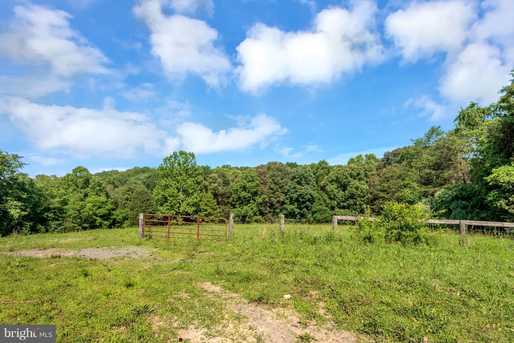 13347 Sillamon Road Goldvein, VA 22720 - Photo 5 of 28 Large fields..over 4 acres!!