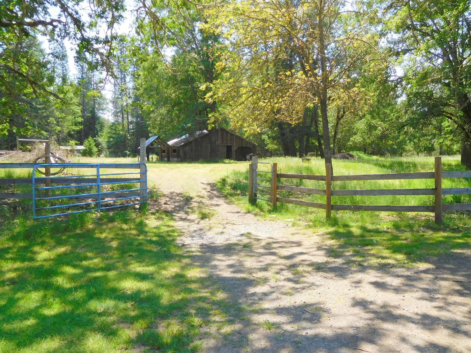 5685 Holland Loop Road Cave Junction, OR 97523 - Photo 15 of 18 Just outside the home, off the circular