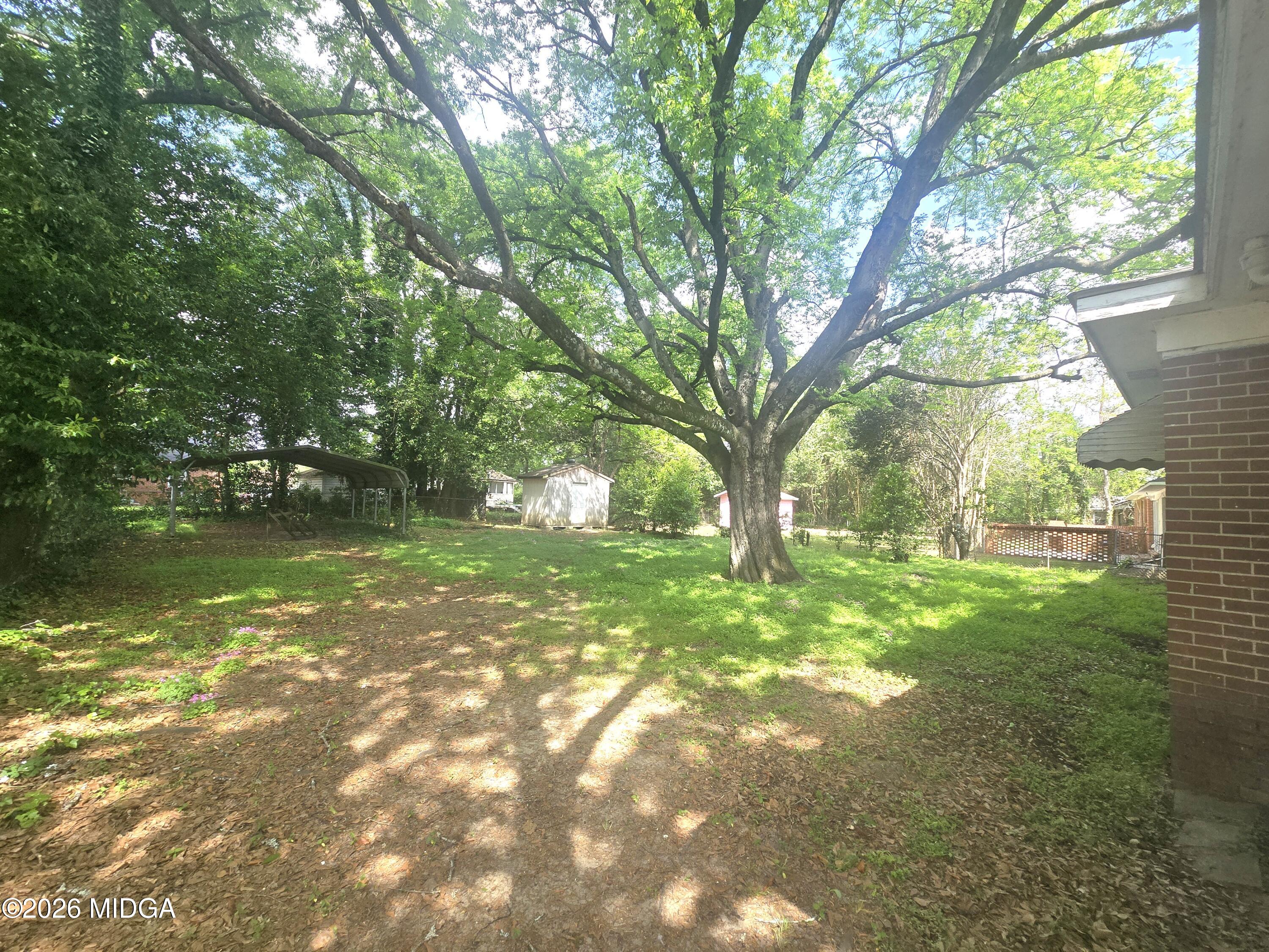 4055 Emory Drive Macon, GA 31206 - Photo 3 of 9 a view of backyard with a table and chairs and a large tree