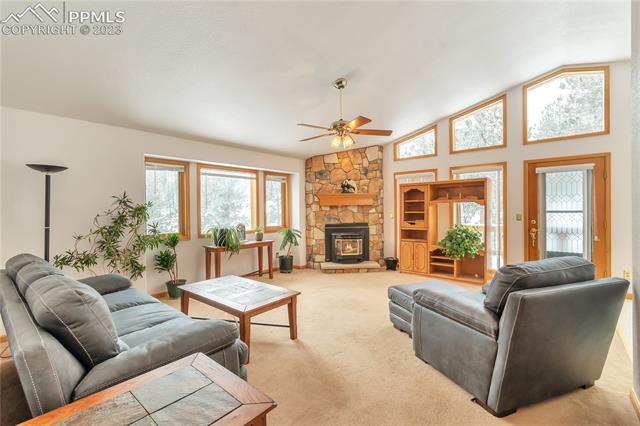1167 Clark Road Bailey, CO 80421 - Photo 9 of 25