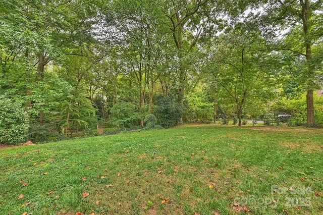 a view of outdoor space and yard