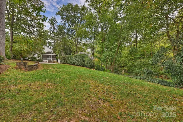 a view of a field with a tree