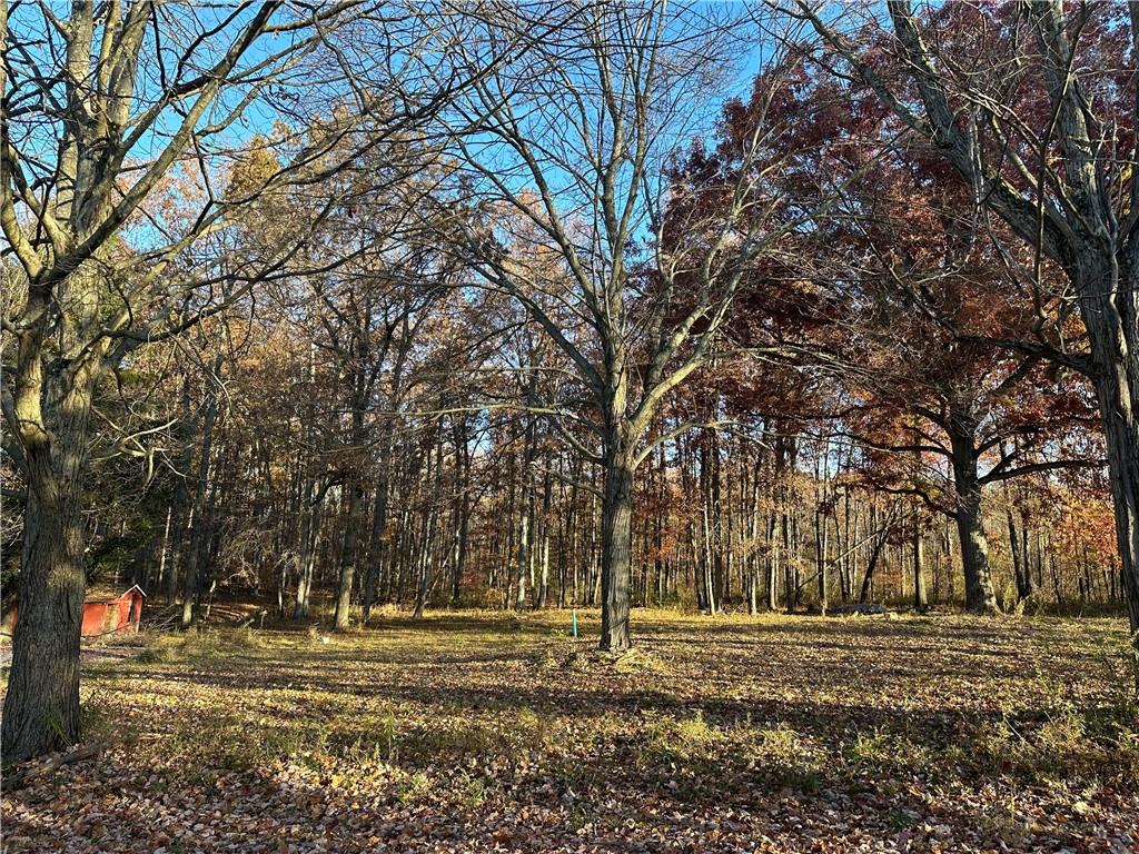 147 Wilson Road Prospect, PA 16052 - Photo 1 of 6 a view of a yard with a trees
