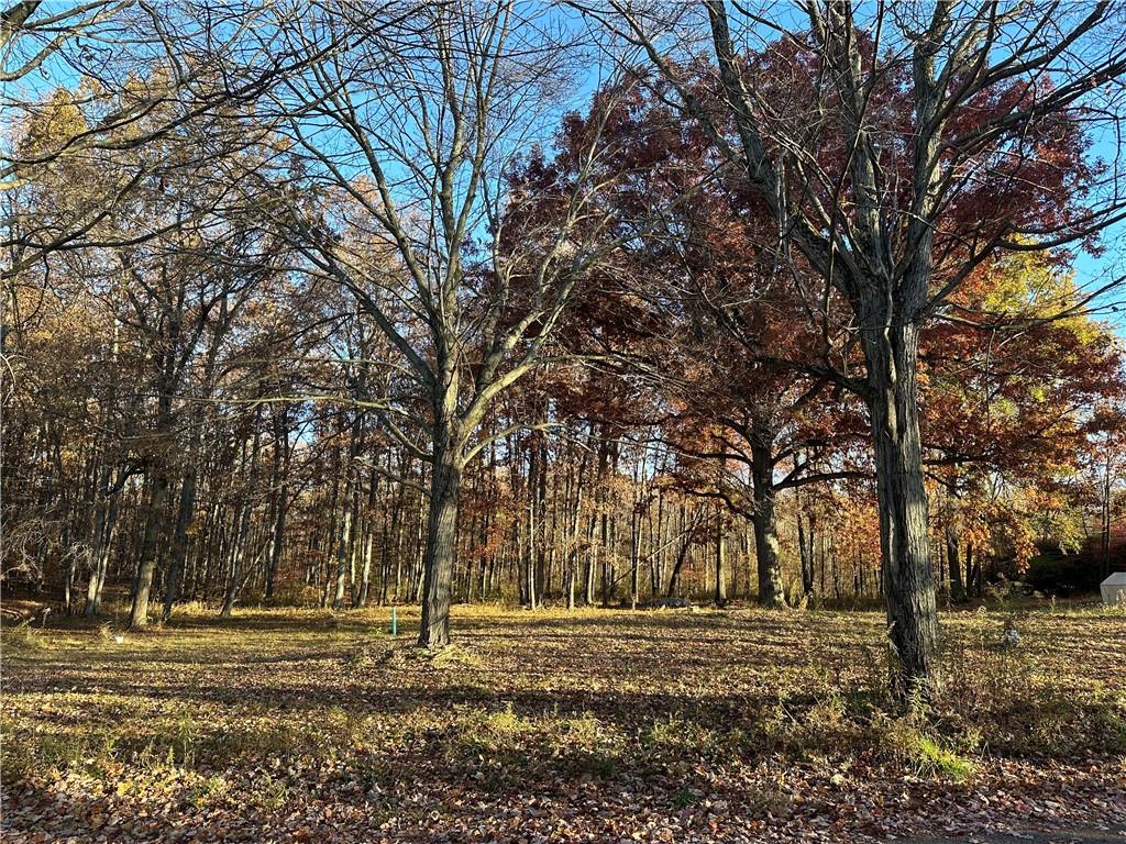 147 Wilson Road Prospect, PA 16052 - Photo 2 of 6 a view of a yard with large trees
