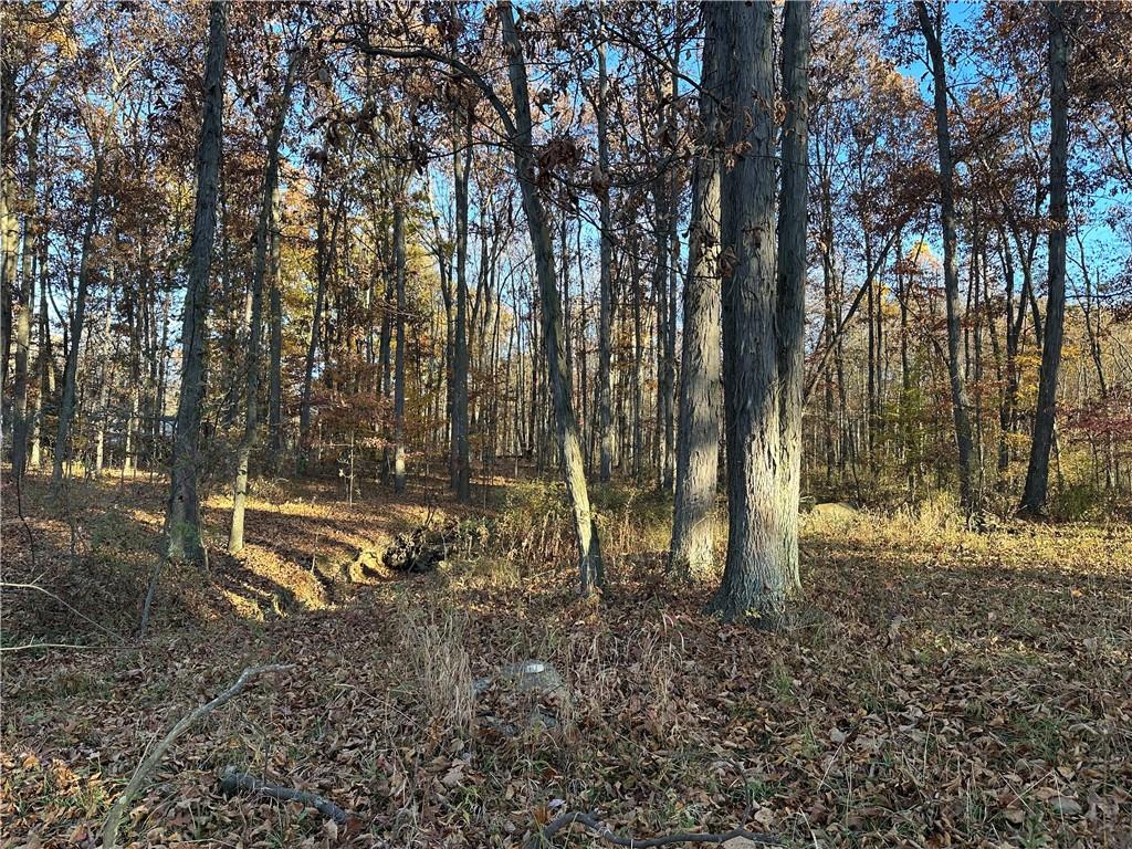 147 Wilson Road Prospect, PA 16052 - Photo 4 of 6 a view of a yard with a tree